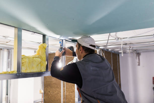 Best Insulation Replacement Services  in Waupaca, WI