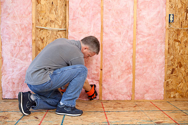 Best Insulation for New Construction  in Waupaca, WI